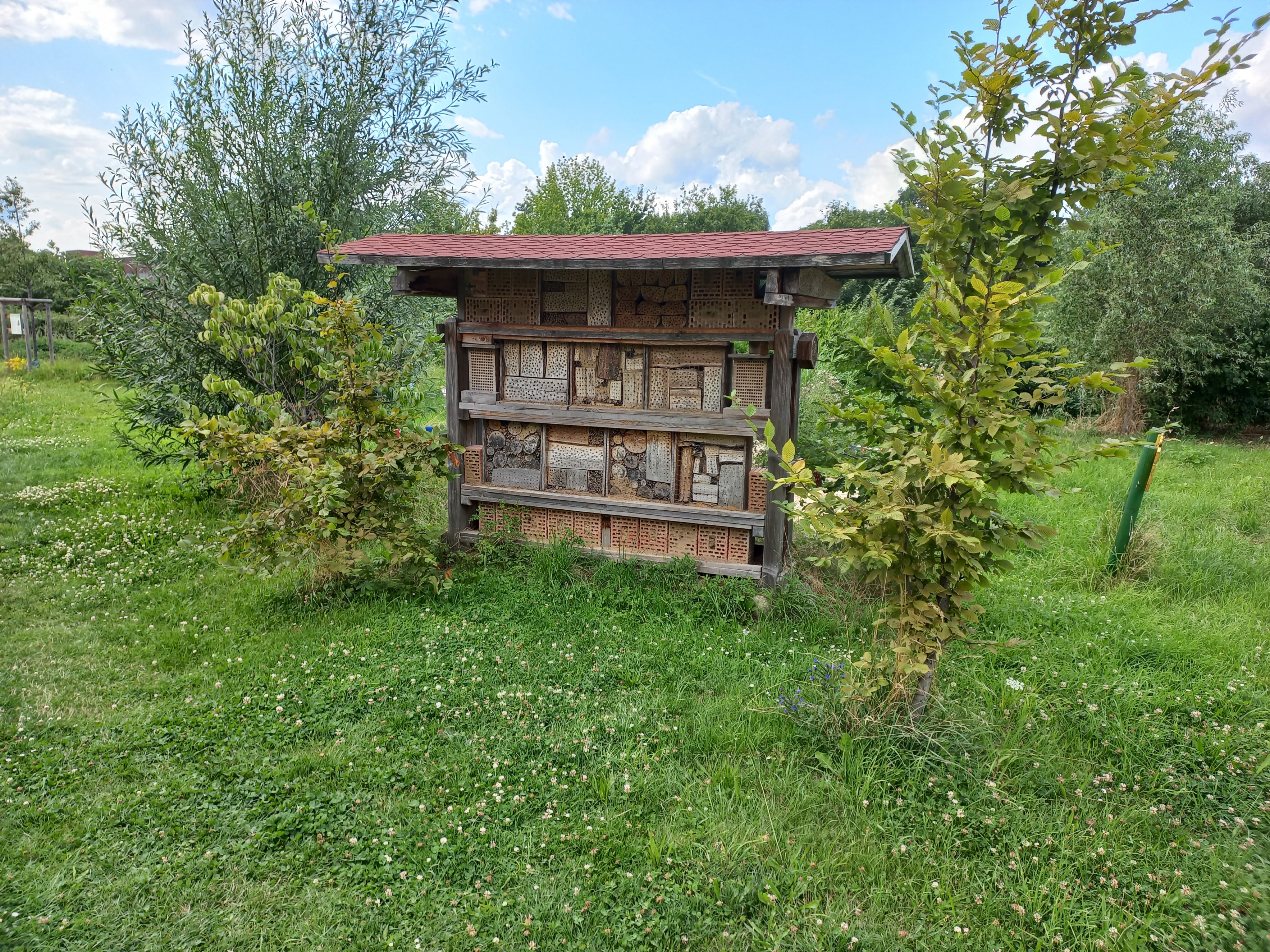 Insektennisthilfe im Grünlabor Hugo